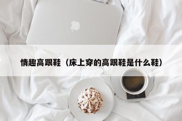 情趣高跟鞋（床上穿的高跟鞋是什么鞋）