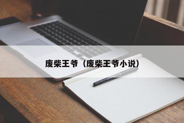 废柴王爷（废柴王爷小说）