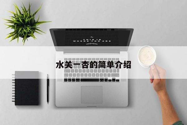 水关一杏的简单介绍